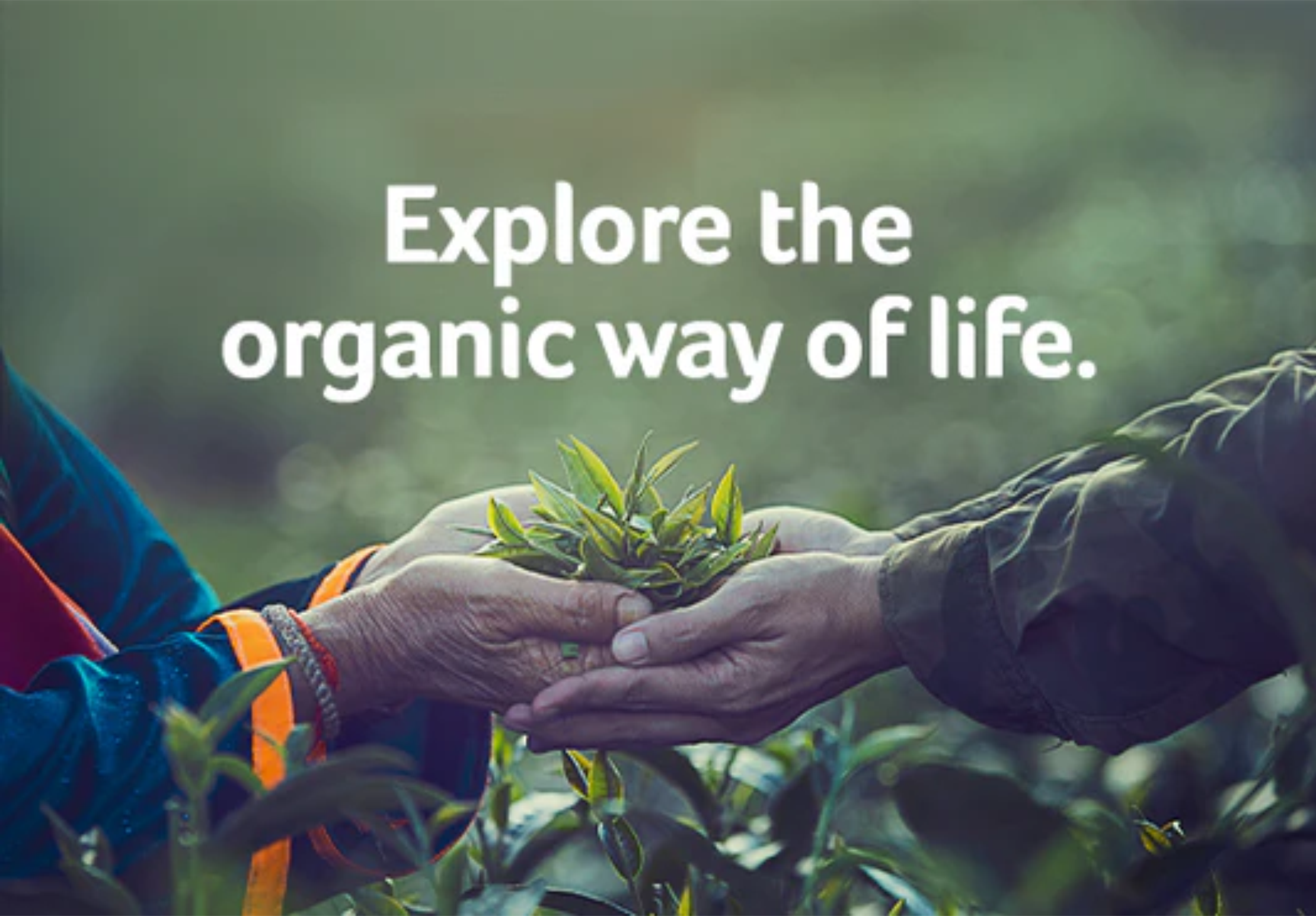 Organic Food – Kickstart Your Healthy Lifestyle.